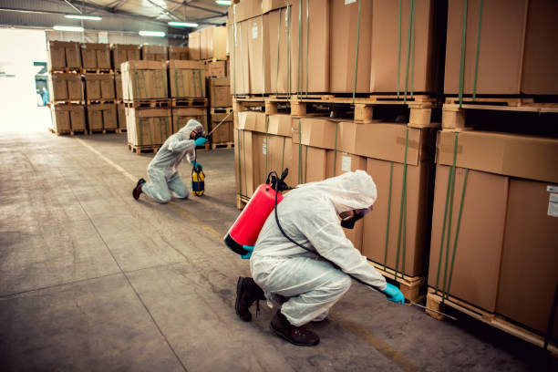 Best Rat Extermination Near Me  in Rio Rancho, NM