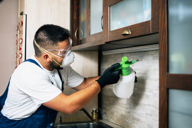Pest Control Cost in Rio Rancho, NM