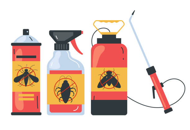 Best Residential Pest Control  in Rio Rancho, NM